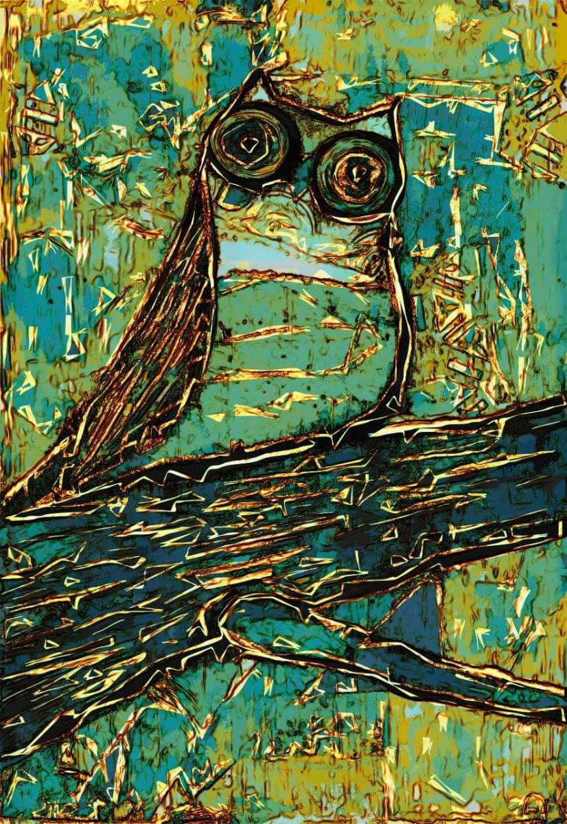 The Owl that Could Creative Passages